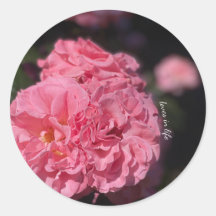 Pink Roses stickers