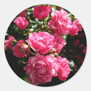 pink roses stickers