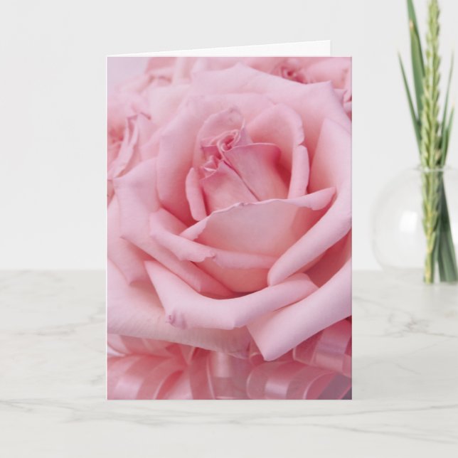 Pink roses VI Holiday Card (Front)