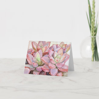 Pink rosette succulent note card