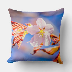 Pink Sakura Flower Blue Sky Cushion