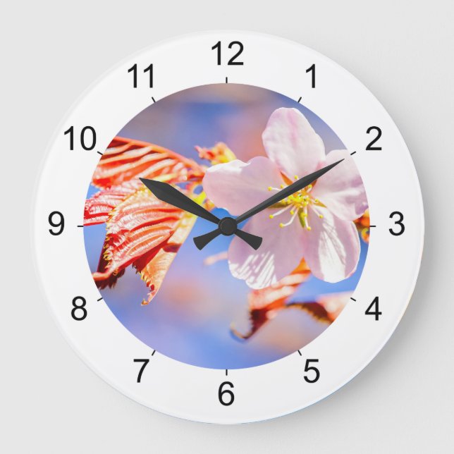 Pink Sakura Flower Blue Sky Large Clock (Front)