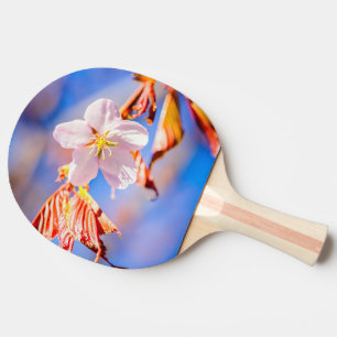 Pink Sakura Flower Blue Sky Ping Pong Paddle