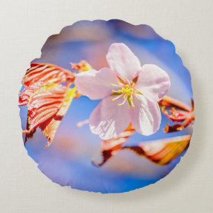 Pink Sakura Flower Blue Sky Round Cushion