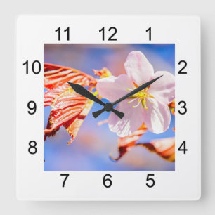 Pink Sakura Flower Blue Sky Square Wall Clock