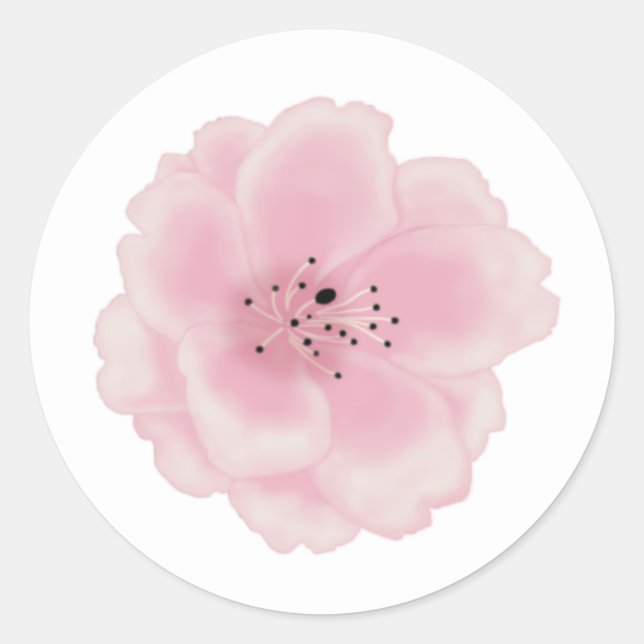 Pink sakura flower. classic round sticker (Front)