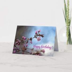 Pink Sakura Flowers, Blue Sky, White Cloud Card