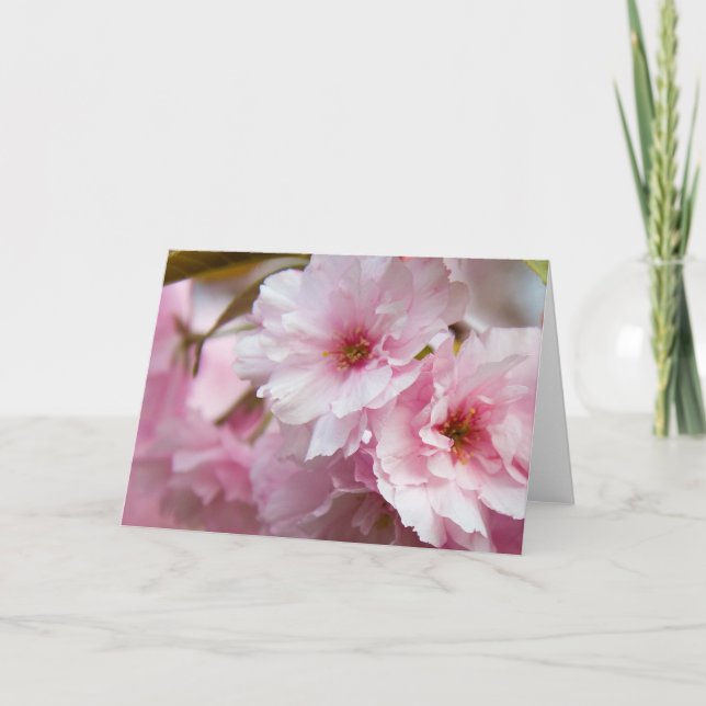 Pink Sakura Flowers Card (Front)