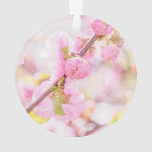 Pink sakura flowers - Japanese cherry blossom Ornament