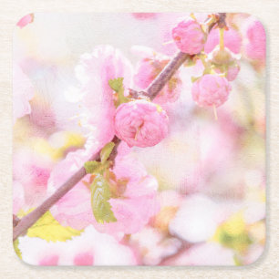 Pink sakura flowers - Japanese cherry blossom Square Paper Coaster
