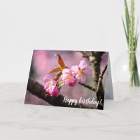 Pink Sakura Flowers On A Tree In Springtime