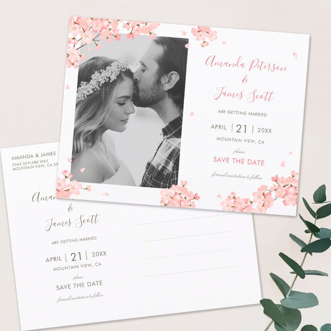 Pink Sakura Japanese Cherry Blossoms Save the Date Invitation Postcard (Creator Uploaded)