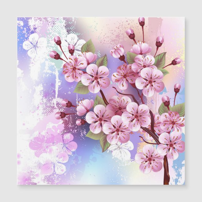 Pink Sakura on Painting Background (Front)