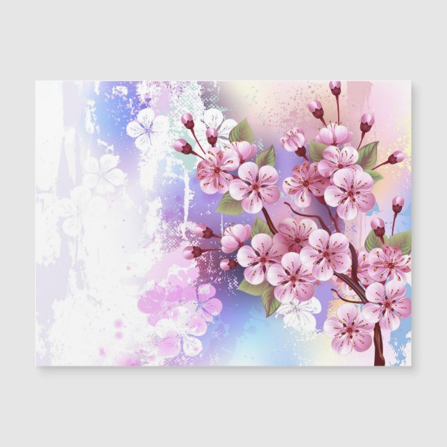 Pink Sakura on Painting Background (Front)
