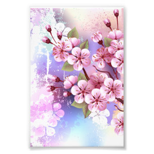 Pink Sakura on Painting Background Photo Print