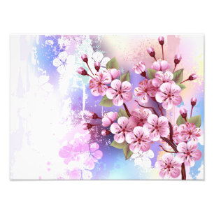Pink Sakura on Painting Background Photo Print