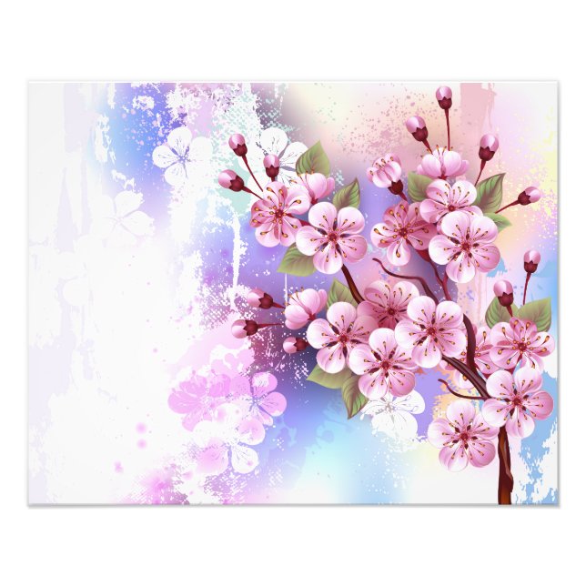 Pink Sakura on Painting Background Photo Print (Front)