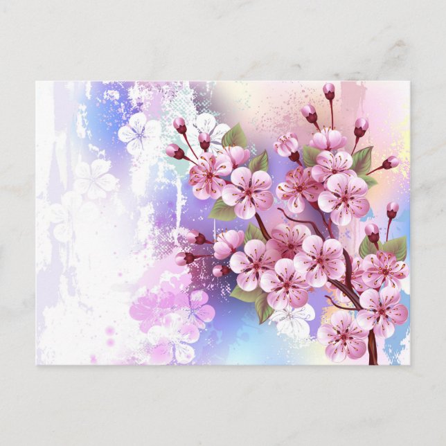 Pink Sakura on Painting Background Postcard (Front)