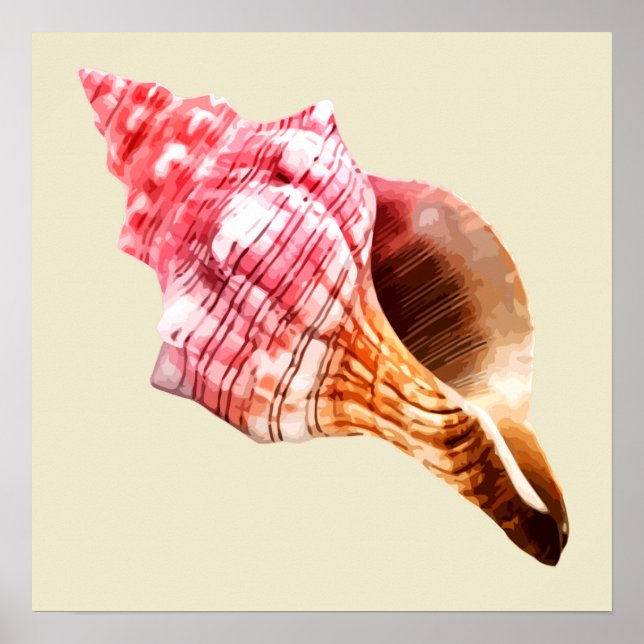 Pink Sandy Conch Shell Poster (Front)