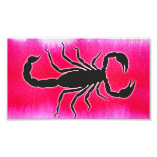 pink scorpio photo print