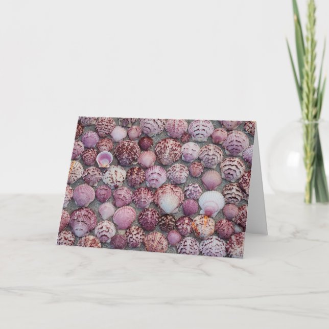Pink Sea Shell Folded Thank You Card (Front)
