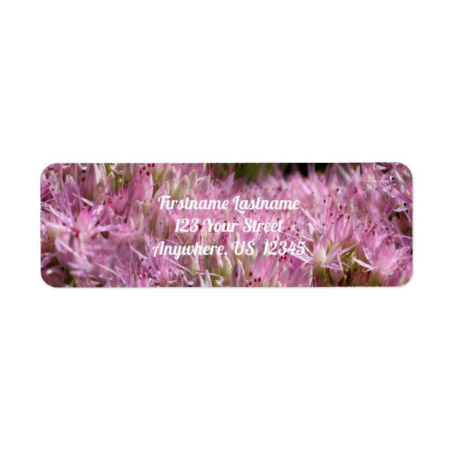 Pink Sedum Autumn Flowers Multiplied Address Return Address Label (Front)
