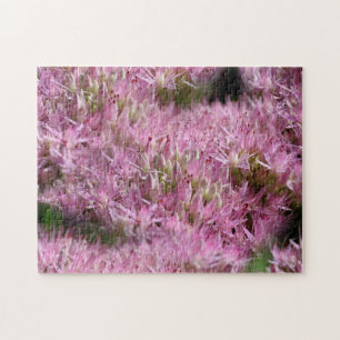 Pink Sedum Autumn Flowers Multiplied  Jigsaw Puzzle