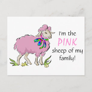 Pink Sheep of the Family Postcard