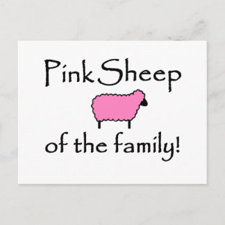 Pink Sheep of the Family Postcard
