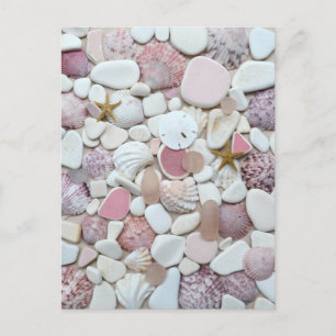 Pink shell sea glass beach glass art photo pottery postcard