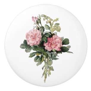 Pink Shrub Rose Botanical Art Round Knob