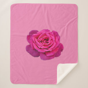 Pink single rose sherpa blanket