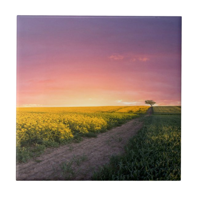 Pink Sky At Night Ceramic Tile (Front)