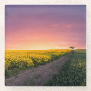 Pink Sky At Night Glass Coaster