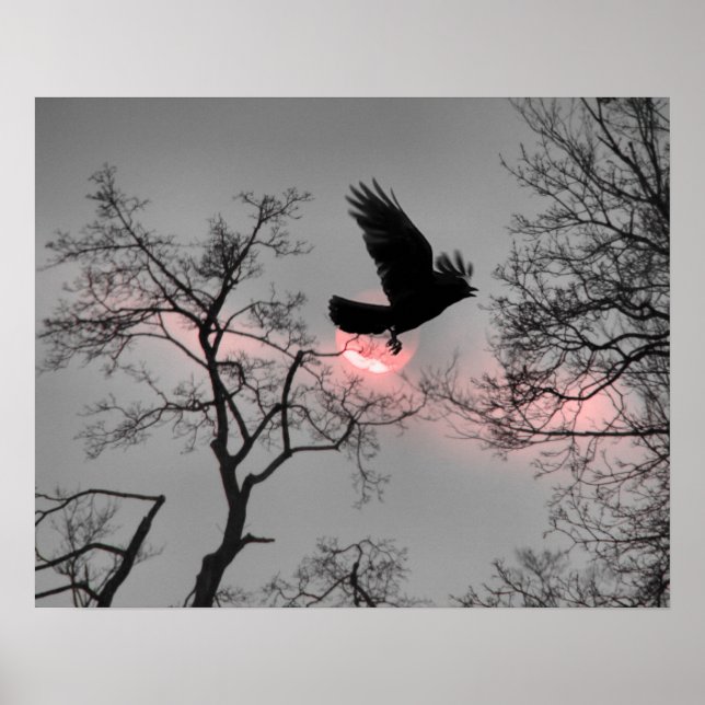 Pink Sky Stripe Poster (Front)