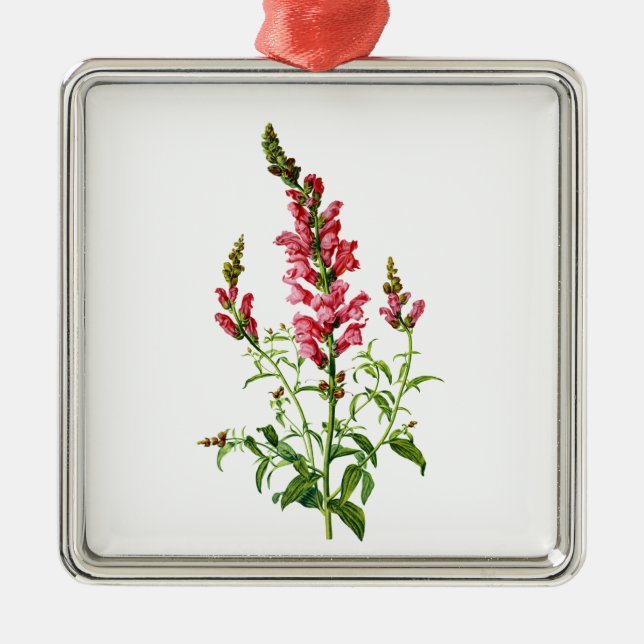 Pink Snapdragon Drawn From Nature Metal Tree Decoration (Front)