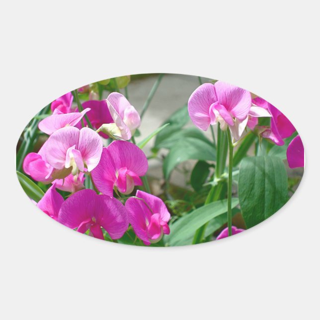 pink snapdragon sticker (Front)