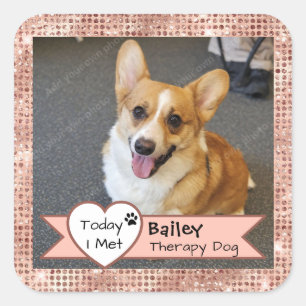 Pink Sparkle Therapy Dog Today I Met Visit Square Sticker
