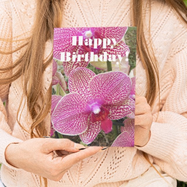 Pink Speckled Moth Orchids Floral Birthday Card (In Situ)