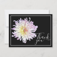 Pink Spider Mum With Black Background Thank You