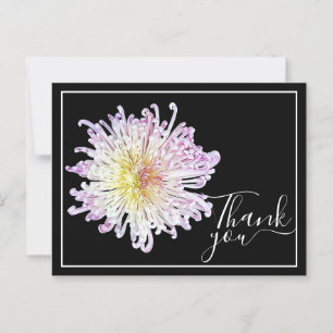 Pink Spider Mum With Black Background Thank You Postcard