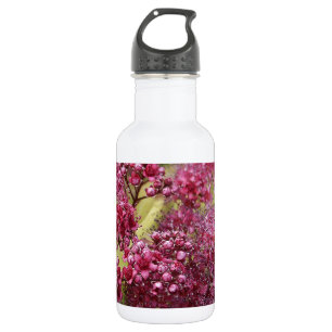 Pink Spirea 532 Ml Water Bottle