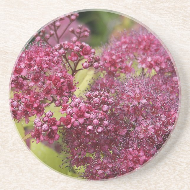 Pink Spirea Coaster (Front)