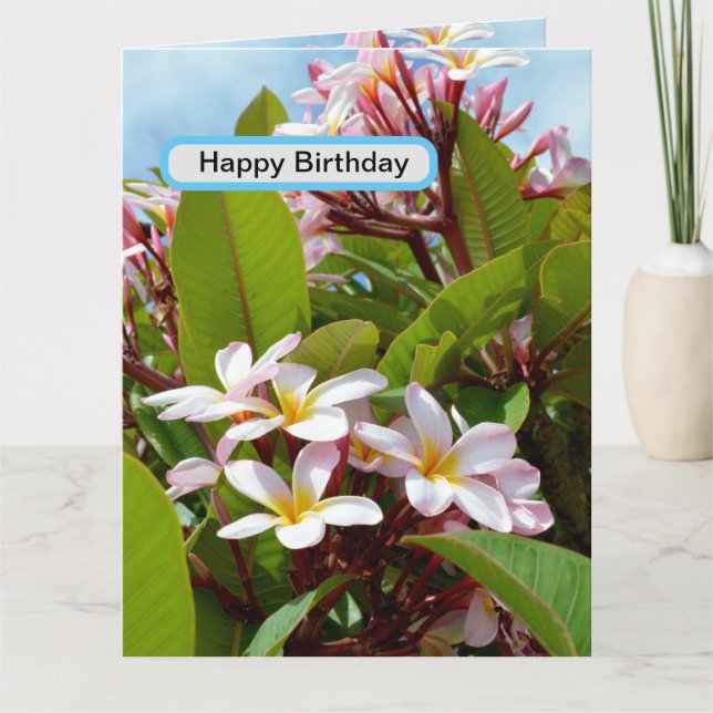 Pink Splendor, Pink Frangipani Blooms On A Tree Card (Front)