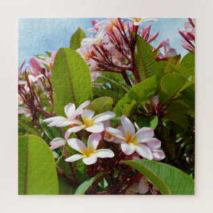 Pink Splendor, Pink Frangipani Blooms On A Tree Jigsaw Puzzle
