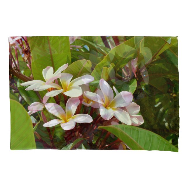 Pink Splendor, Pink Frangipani Blooms On A Tree Pillowcase (Front)