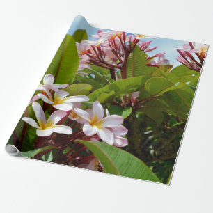 Pink Splendor, Pink Frangipani Blooms On A Tree Wrapping Paper