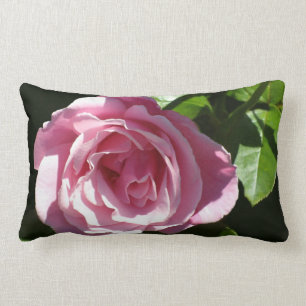 Pink Splendour Rose Lumbar Cushion