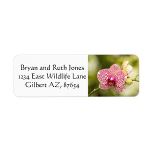 Pink spotted orchid return address label