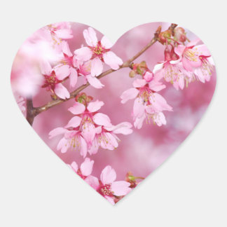 Pink Spring Blossom Heart Shape Stickers
